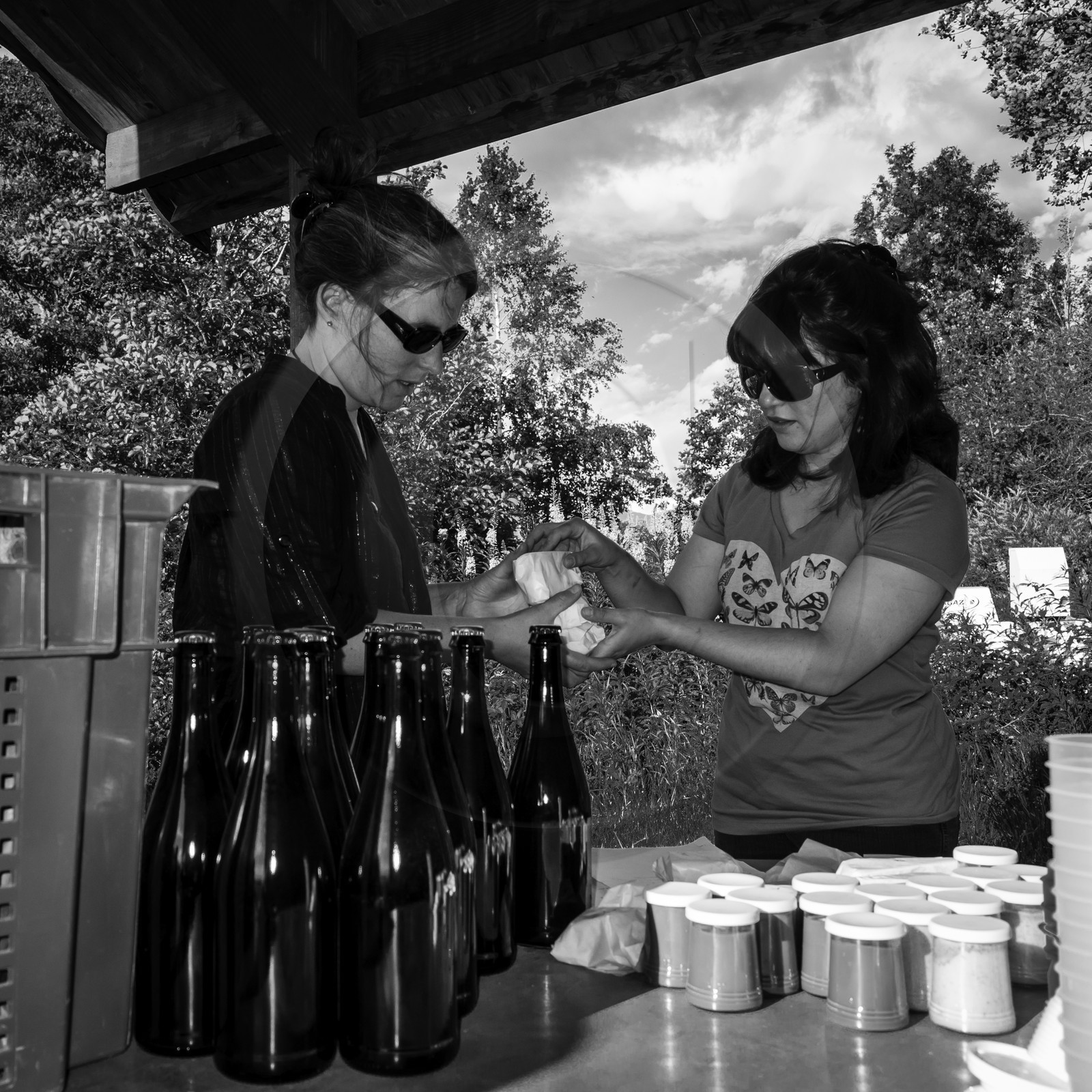 Distribution à l'AMAP du Champsaur