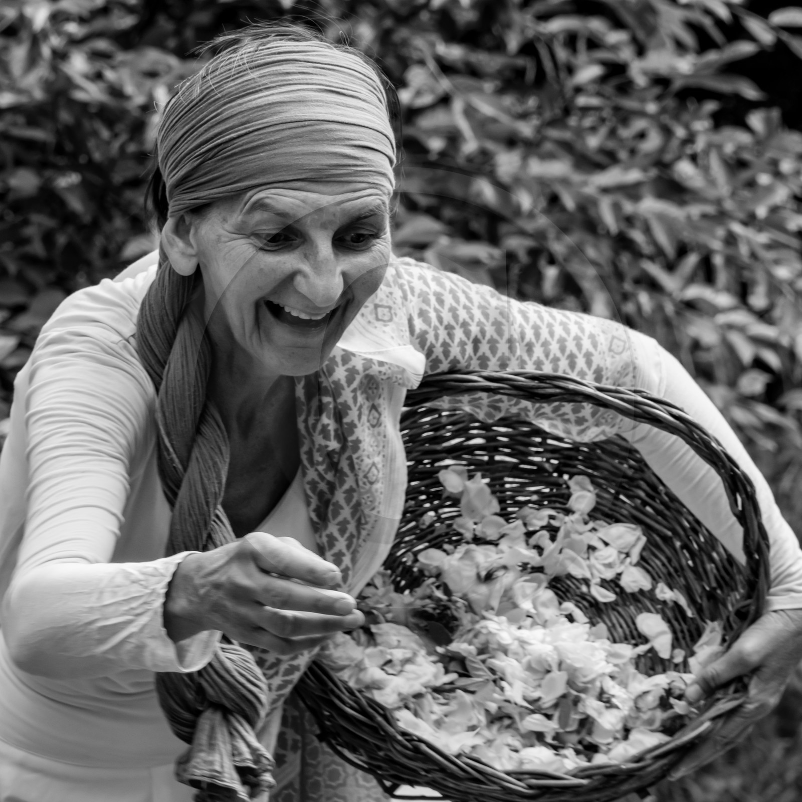 14 juillet 2021 : Lumema danse