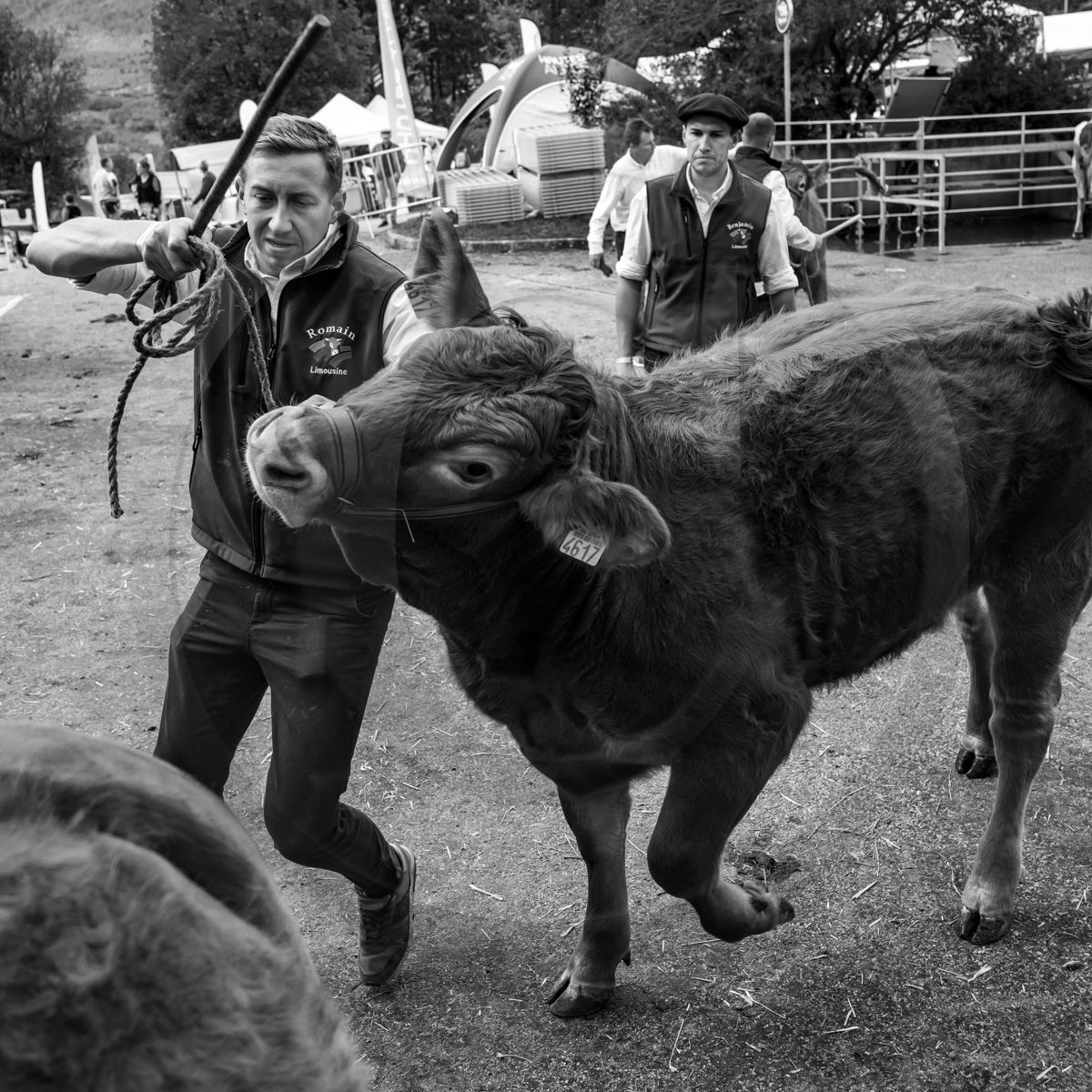 Rencontres paysannes à Saint-Bonnet en Champsaur