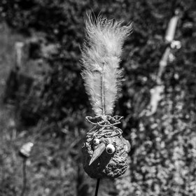 16 juillet 2025 : Les Triplettes