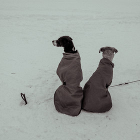 La Valgaude Traineau 2015