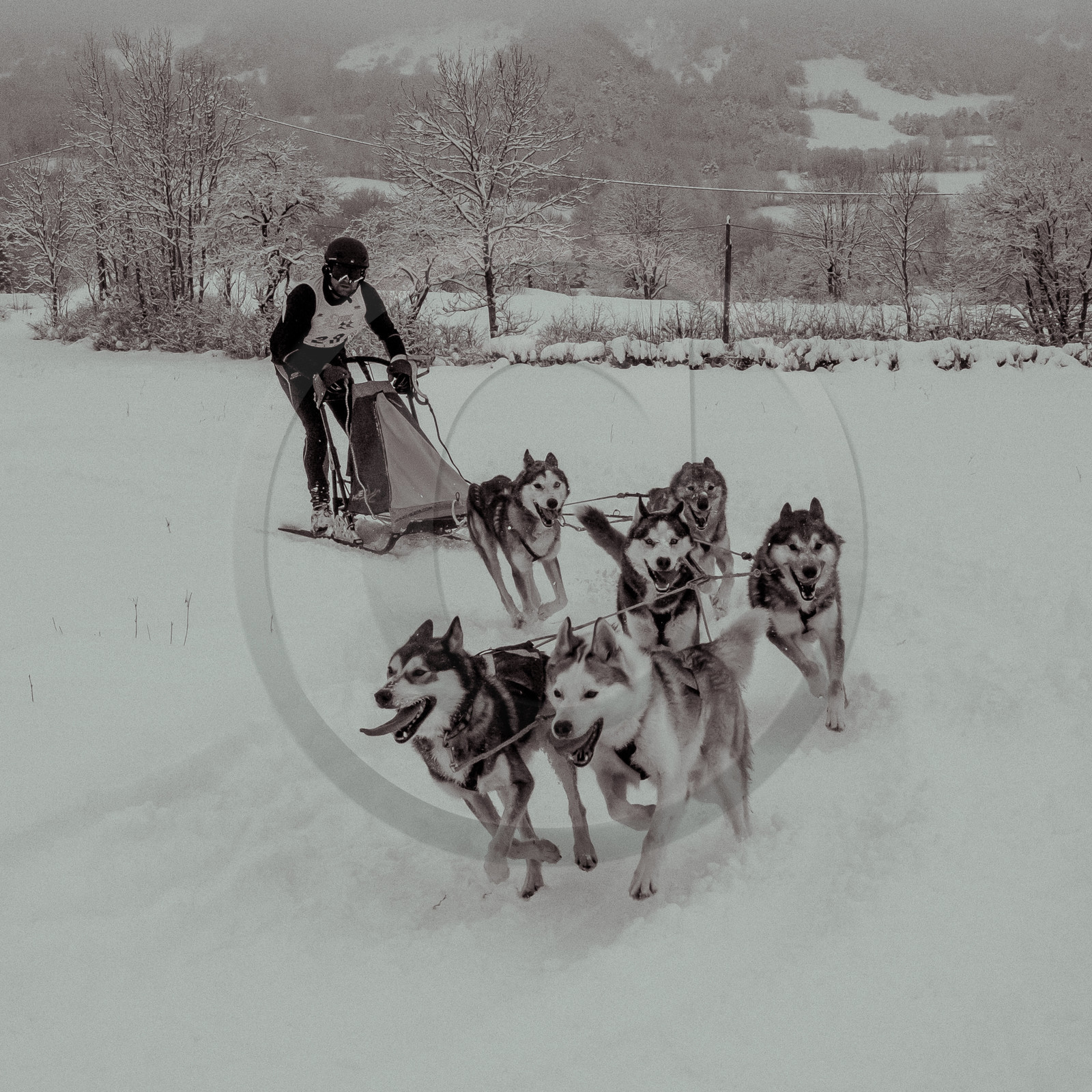 La Valgaude Traineau 2015