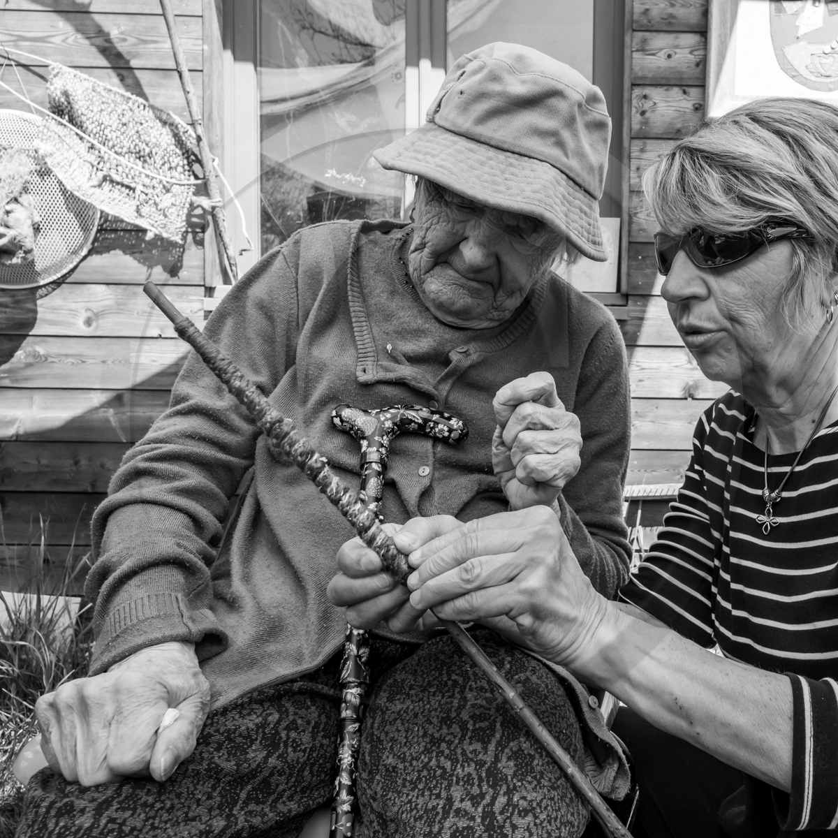 Atelier laine et promenade au jardin Atelier laine et promenade au jardin
