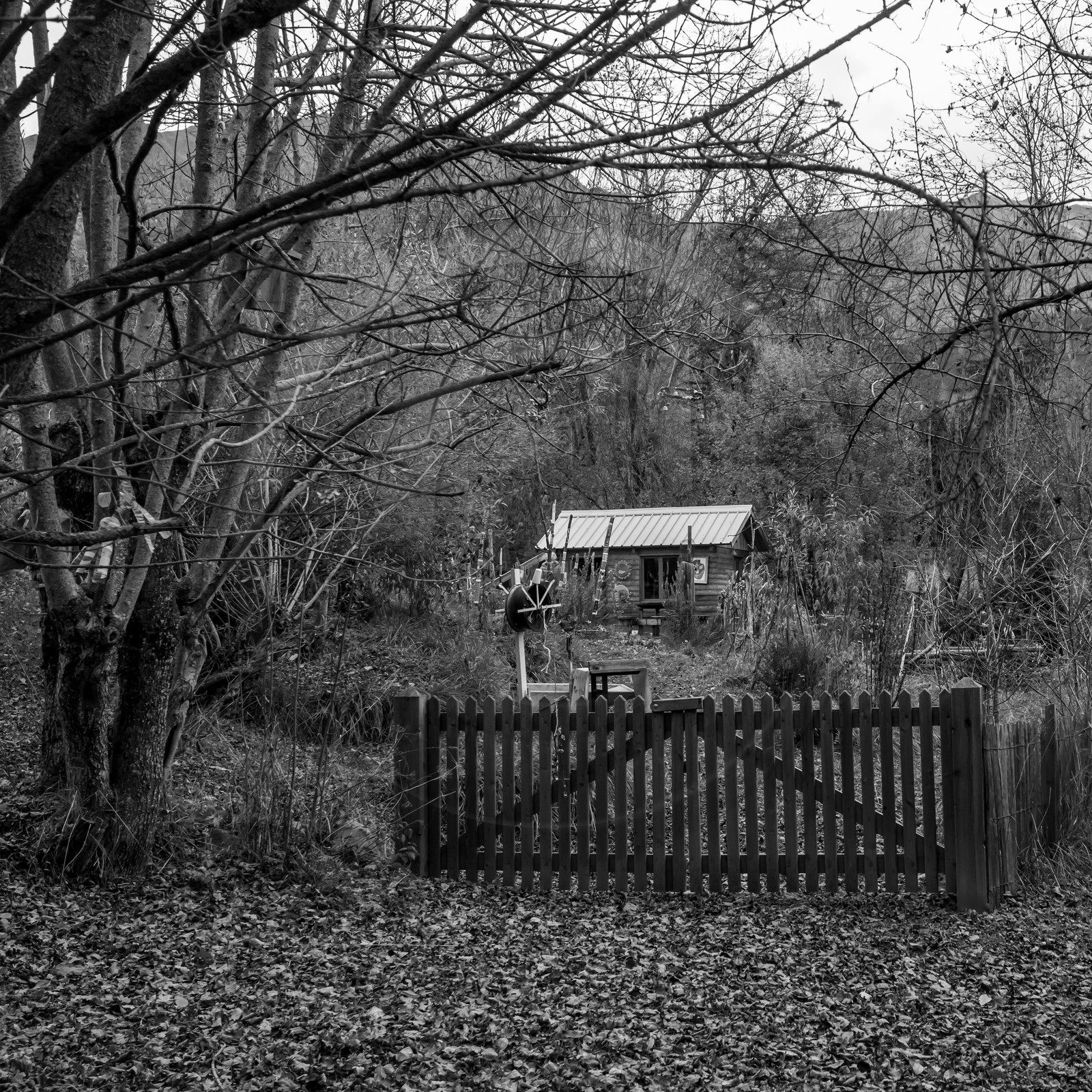 10 novembre 2021 : Une réunion et des crêpes