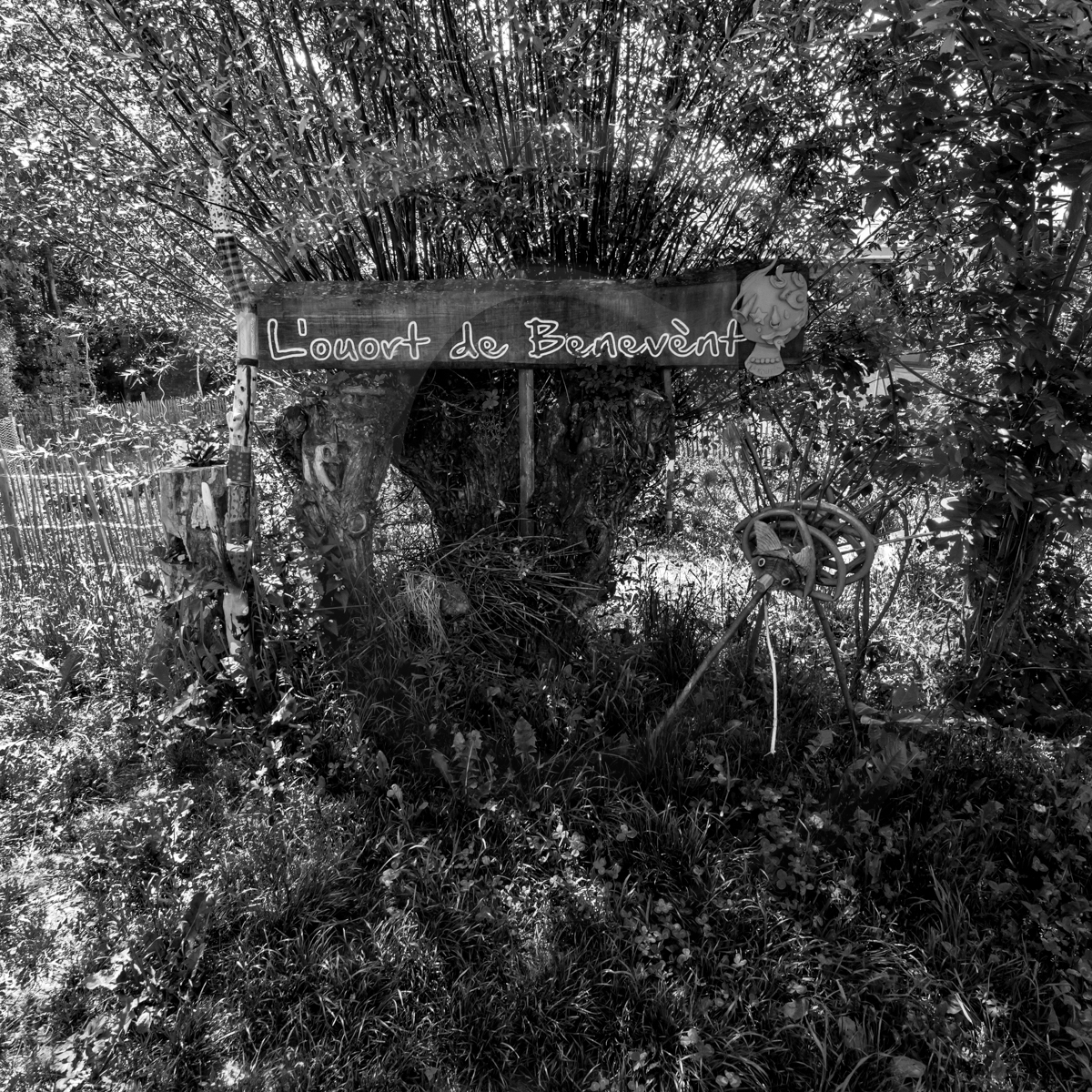 20 mai 2022 : 2ème journée des aidants