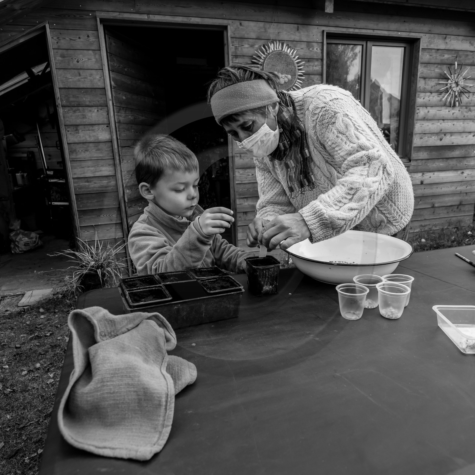 Semis, tournesols et jeux Semis, tournesols et jeux