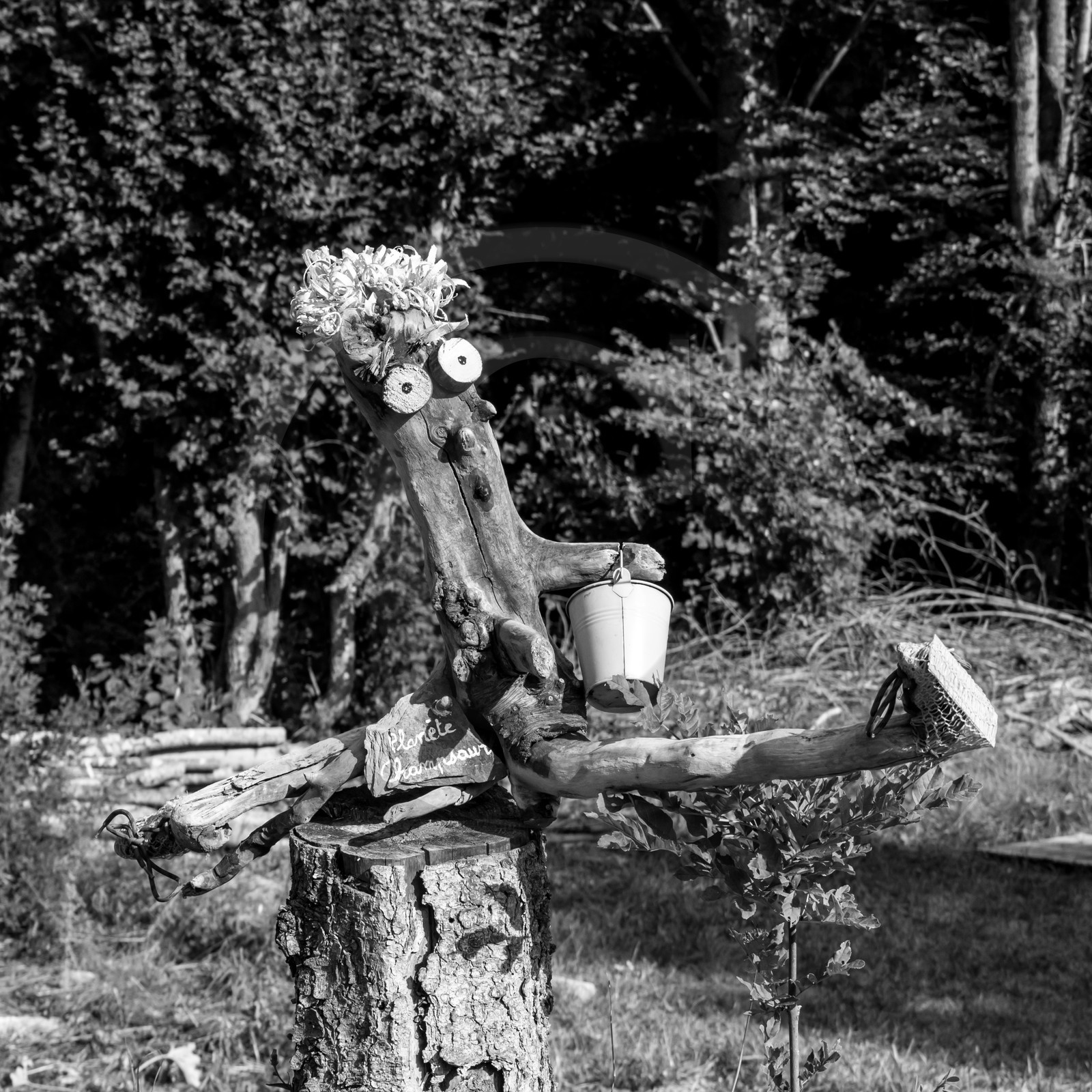 23 août 2017 - Animations