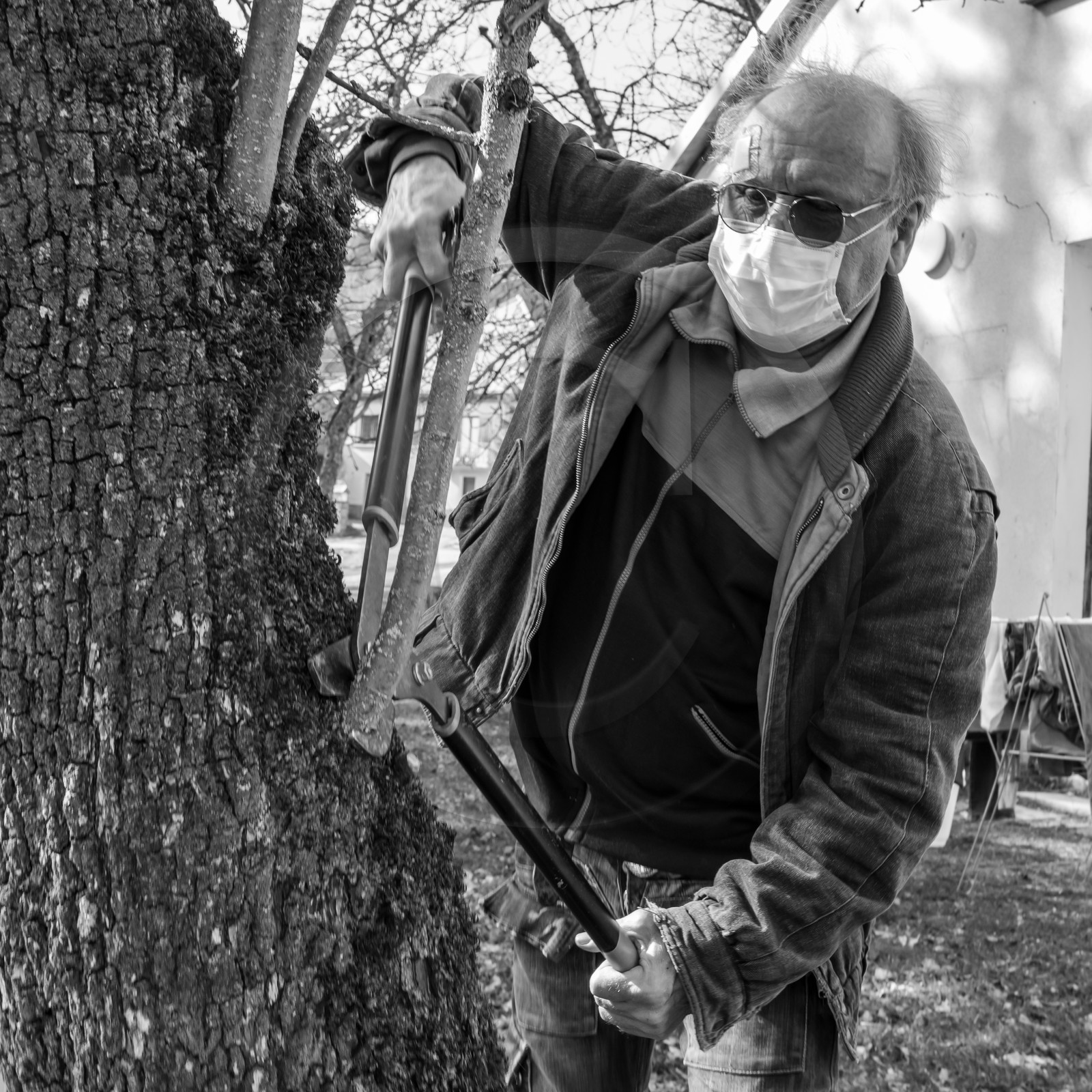 24 février 2021 : on taille, on prépare le jardin... 24 février 2021 : on taille, on prépare le jardin...