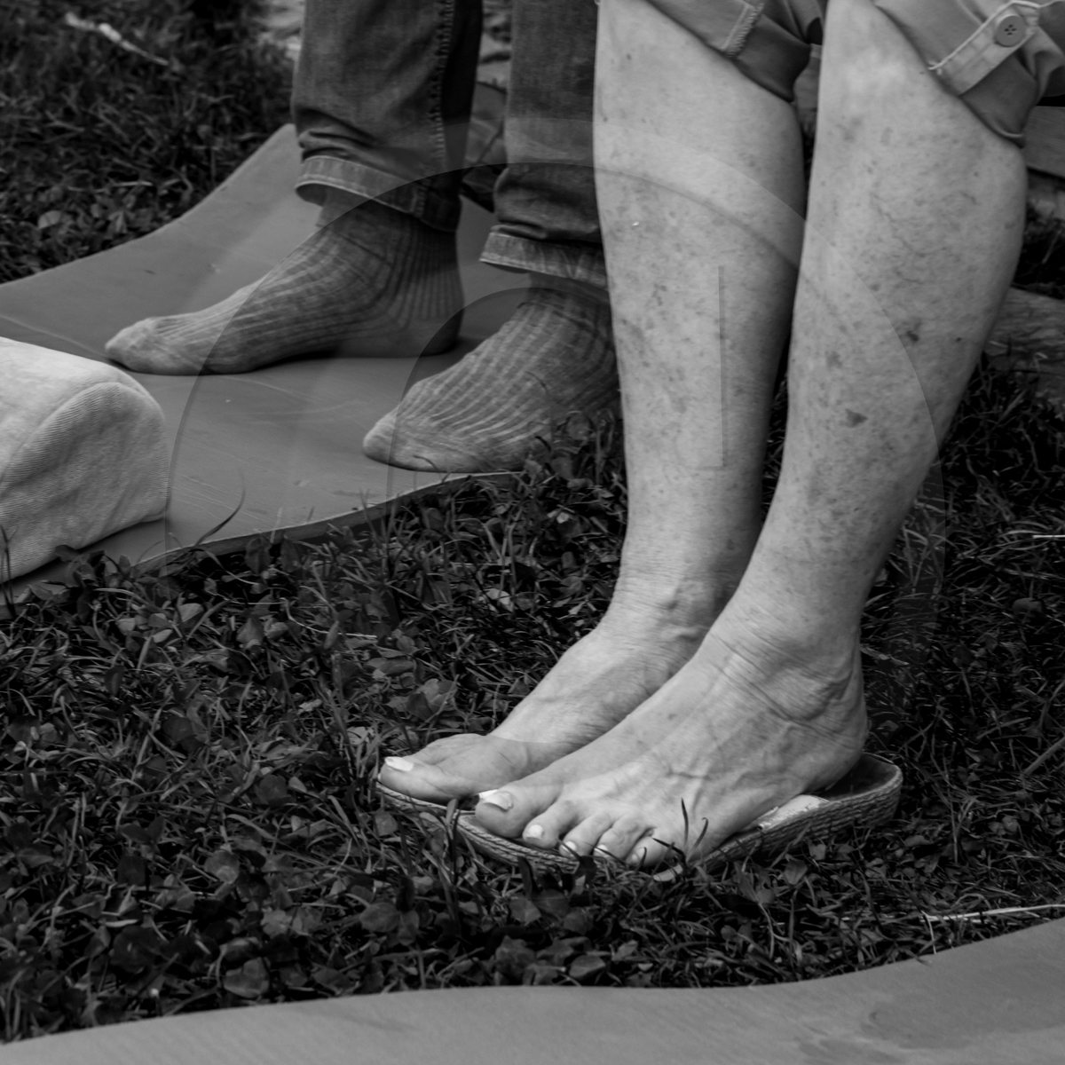 20 mai 2022 : 2ème journée des aidants 20 mai 2022 : 2ème journée des aidants