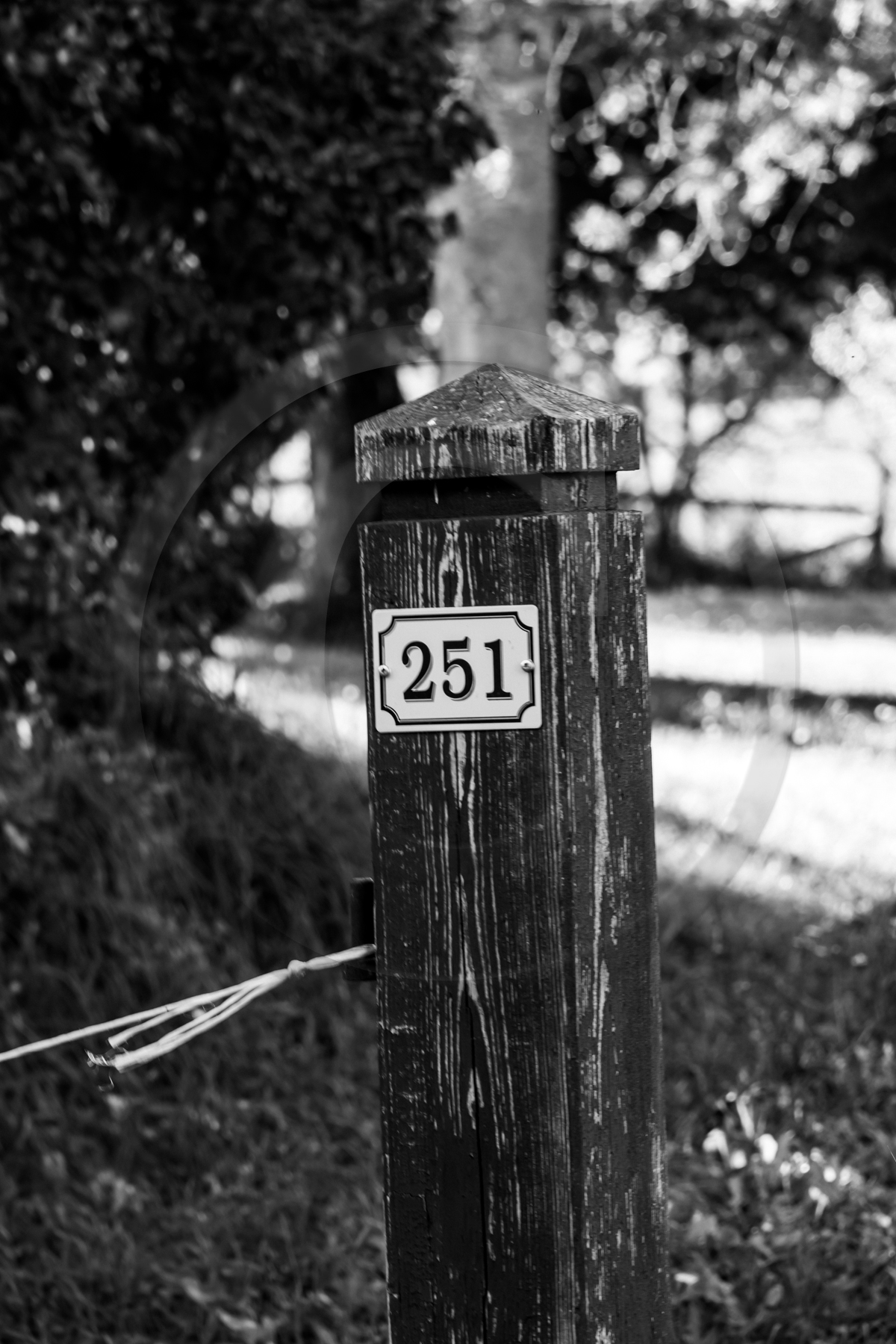 Des chiffres et des lettres Des chiffres et des lettres