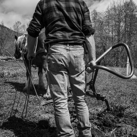 Labour avec un cheval