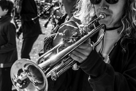 26 octobre 2025 : Les oiseaux de trottoir