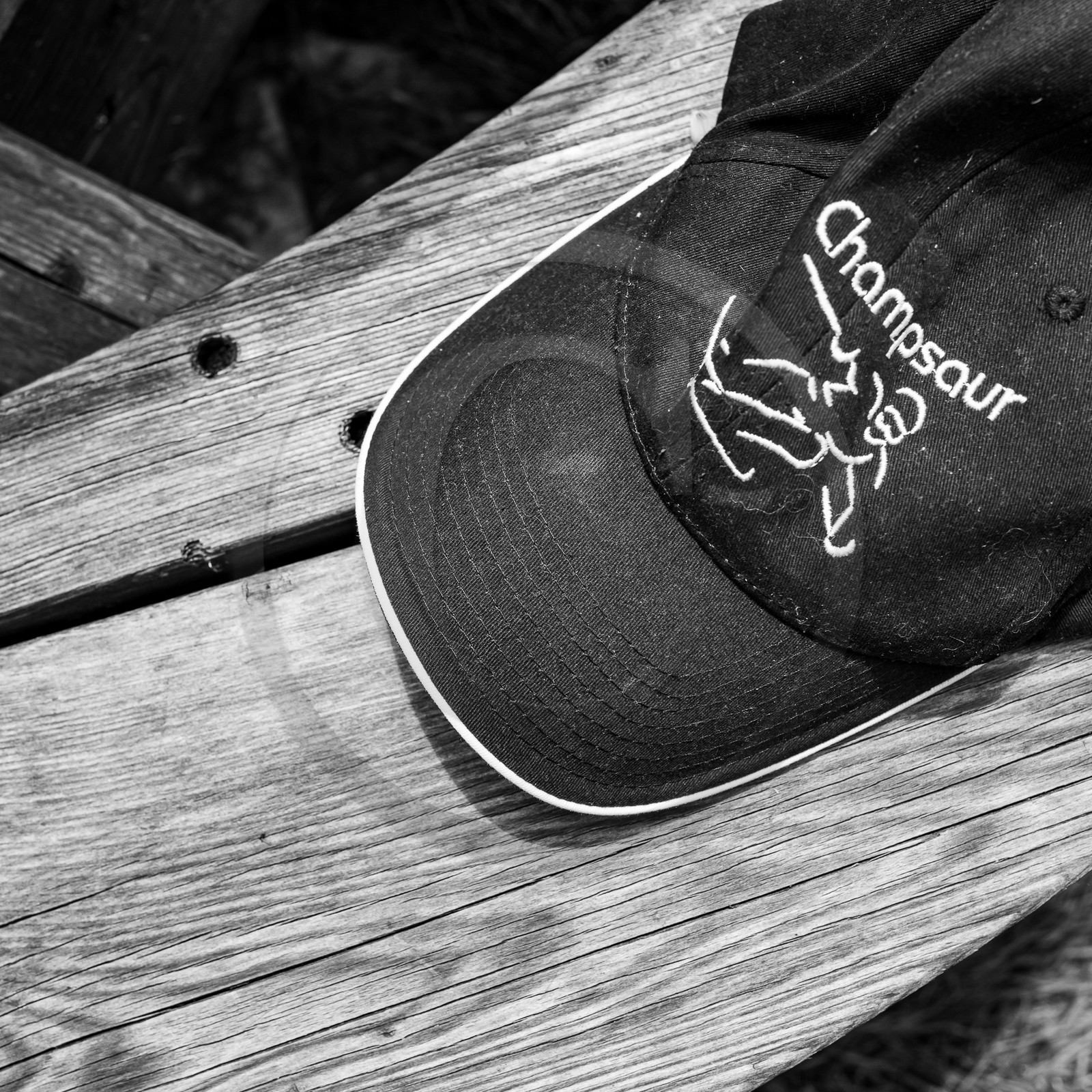 05 juin 2023 : journée des aidants et des aidés