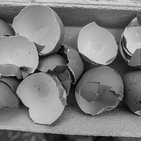 06 septembre 2021 : Journée des aidants