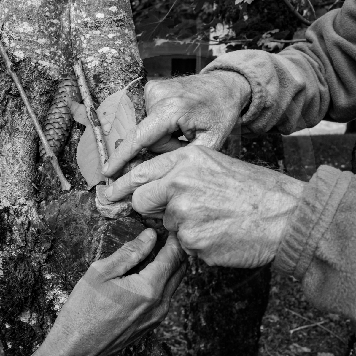 14 septembre 2022 : jeux, laine et promenade
