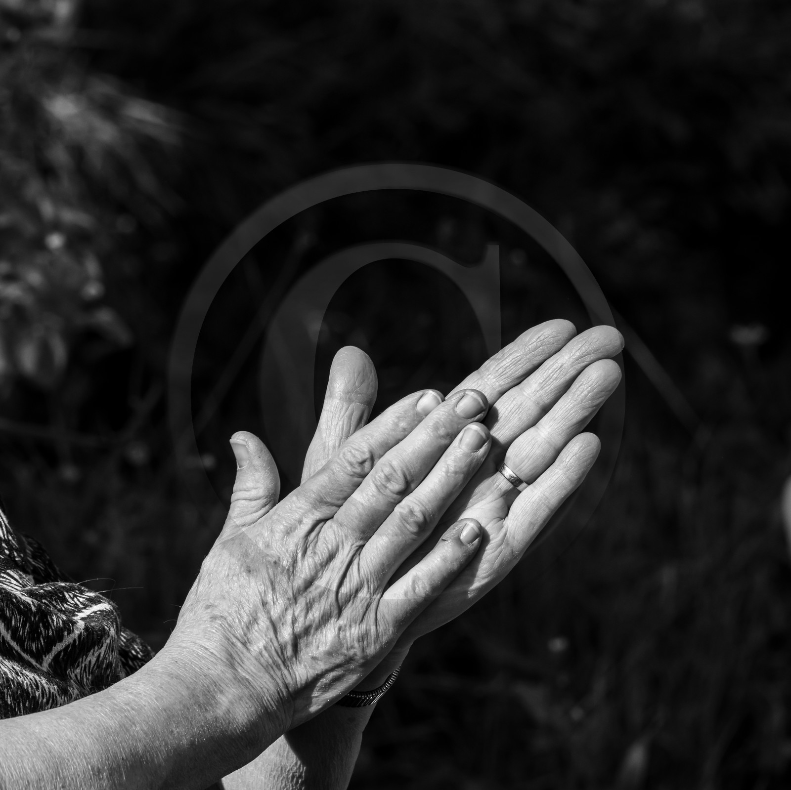 Séance de sophrologie à l'Ouort de Benevènt le 08 10 2020