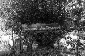 16 juillet 2025 : Les Triplettes