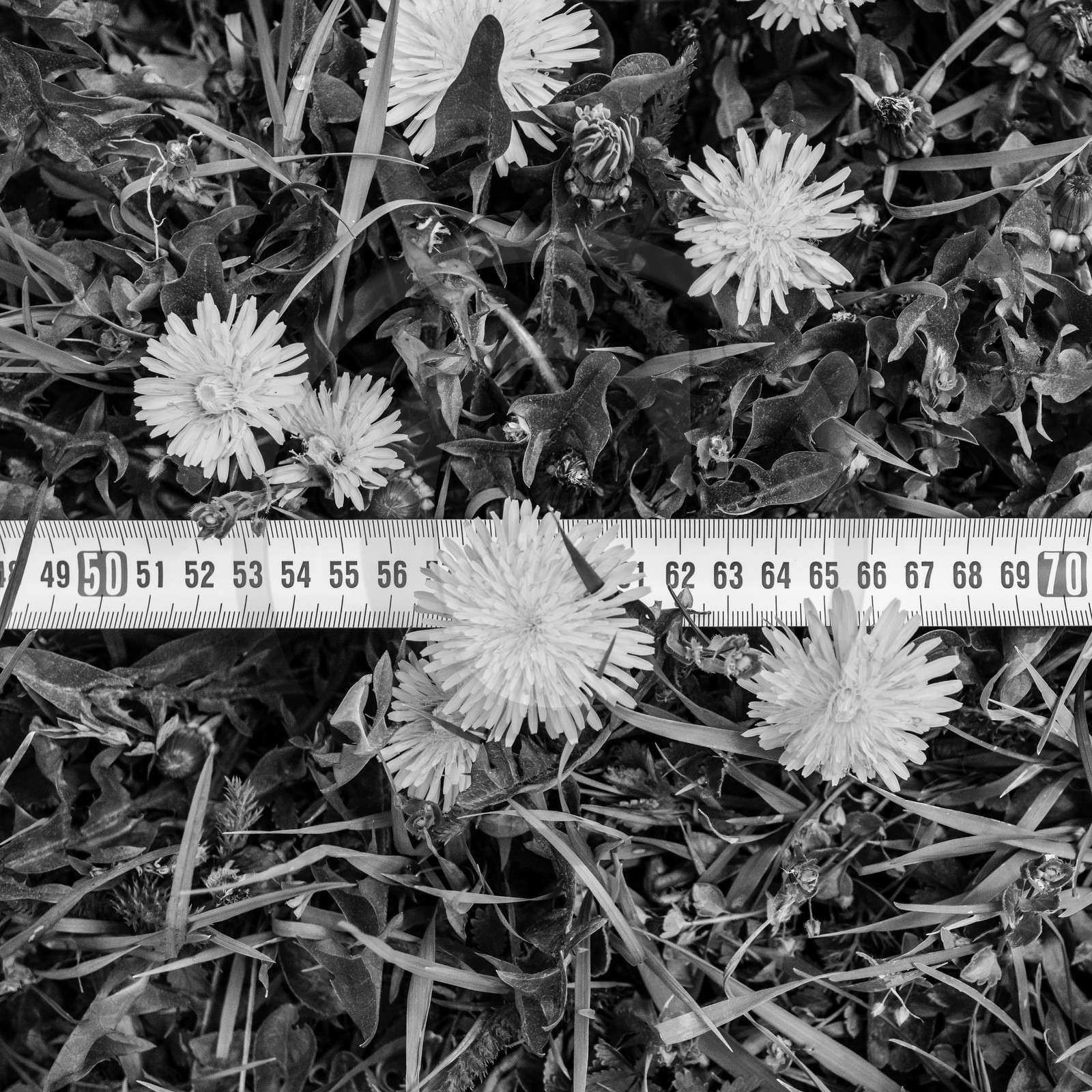 21 avril : jardinage, collages, peinture 21 avril : jardinage, collages, peinture