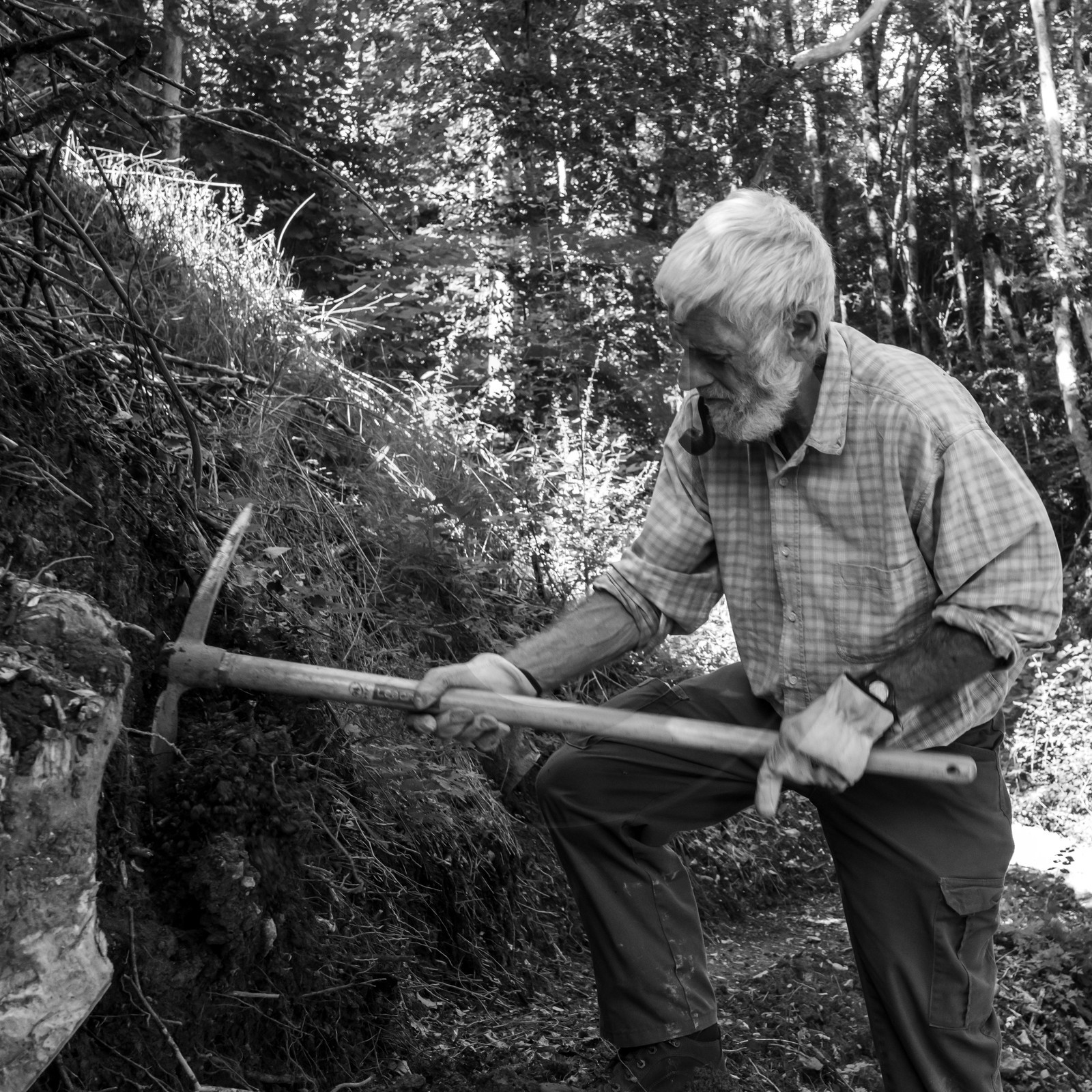 Activités au jardin