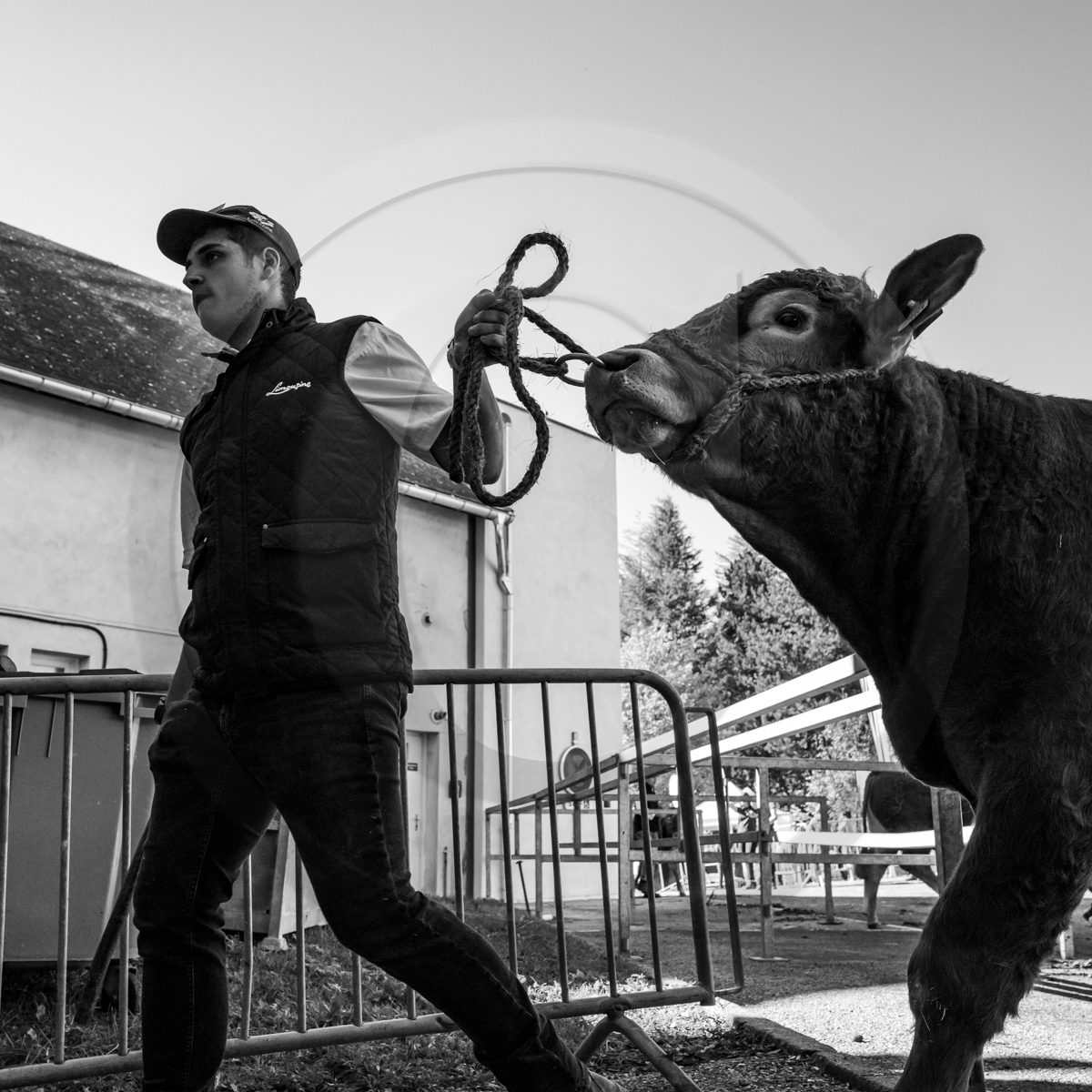 Rencontres paysannes à Saint-Bonnet en Champsaur