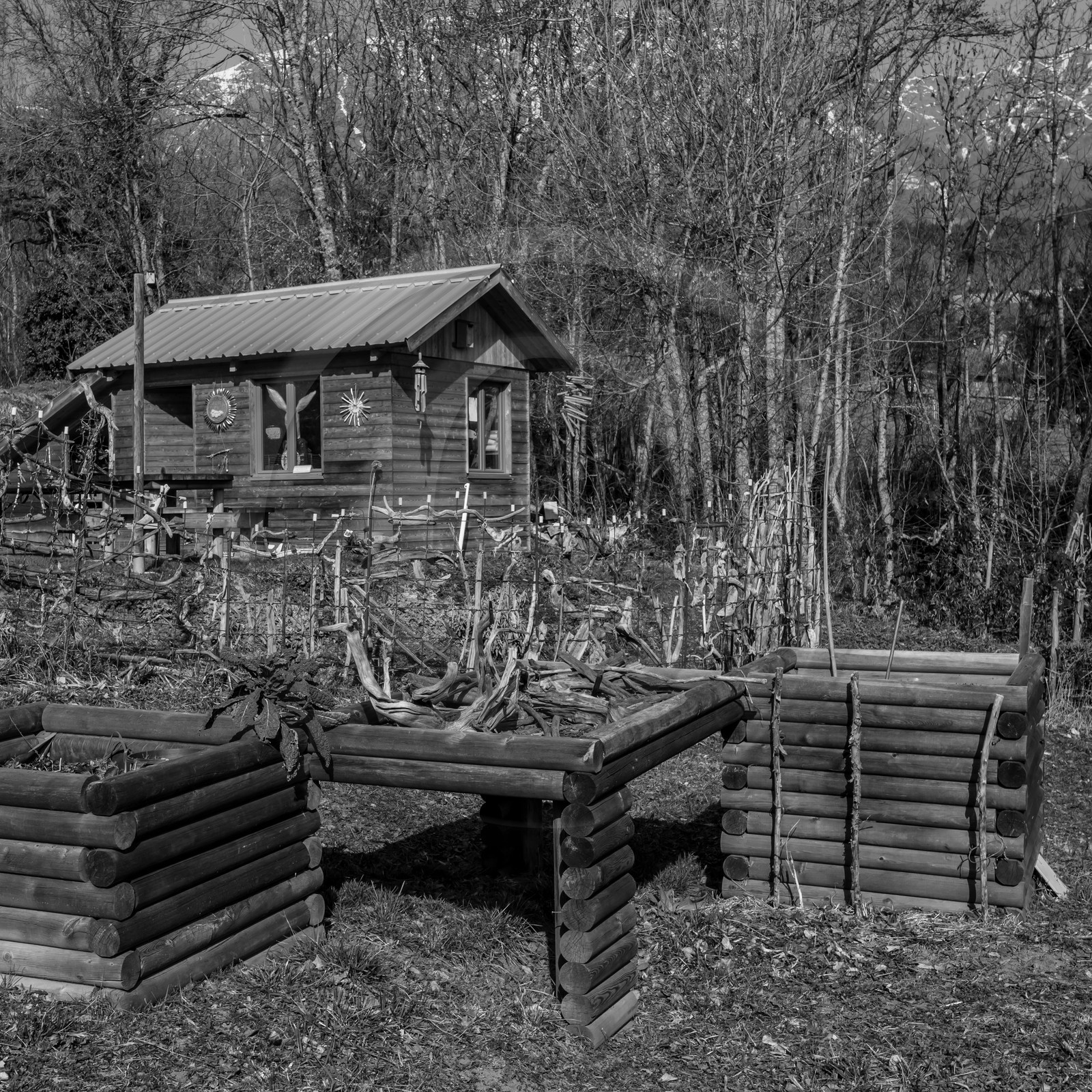 24 février 2021 : on taille, on prépare le jardin... 24 février 2021 : on taille, on prépare le jardin...