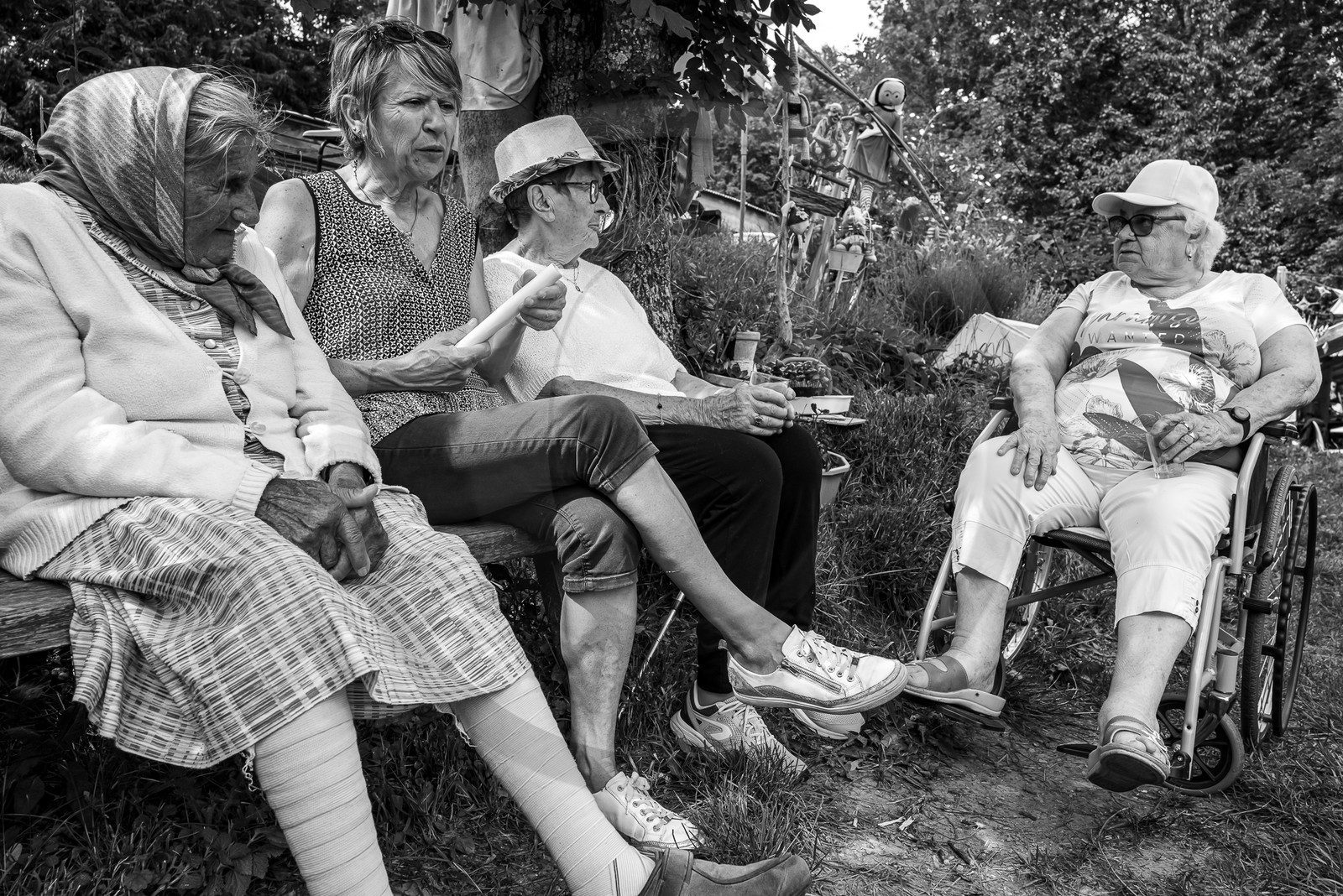 21 juin 2023 : Découverte botanique