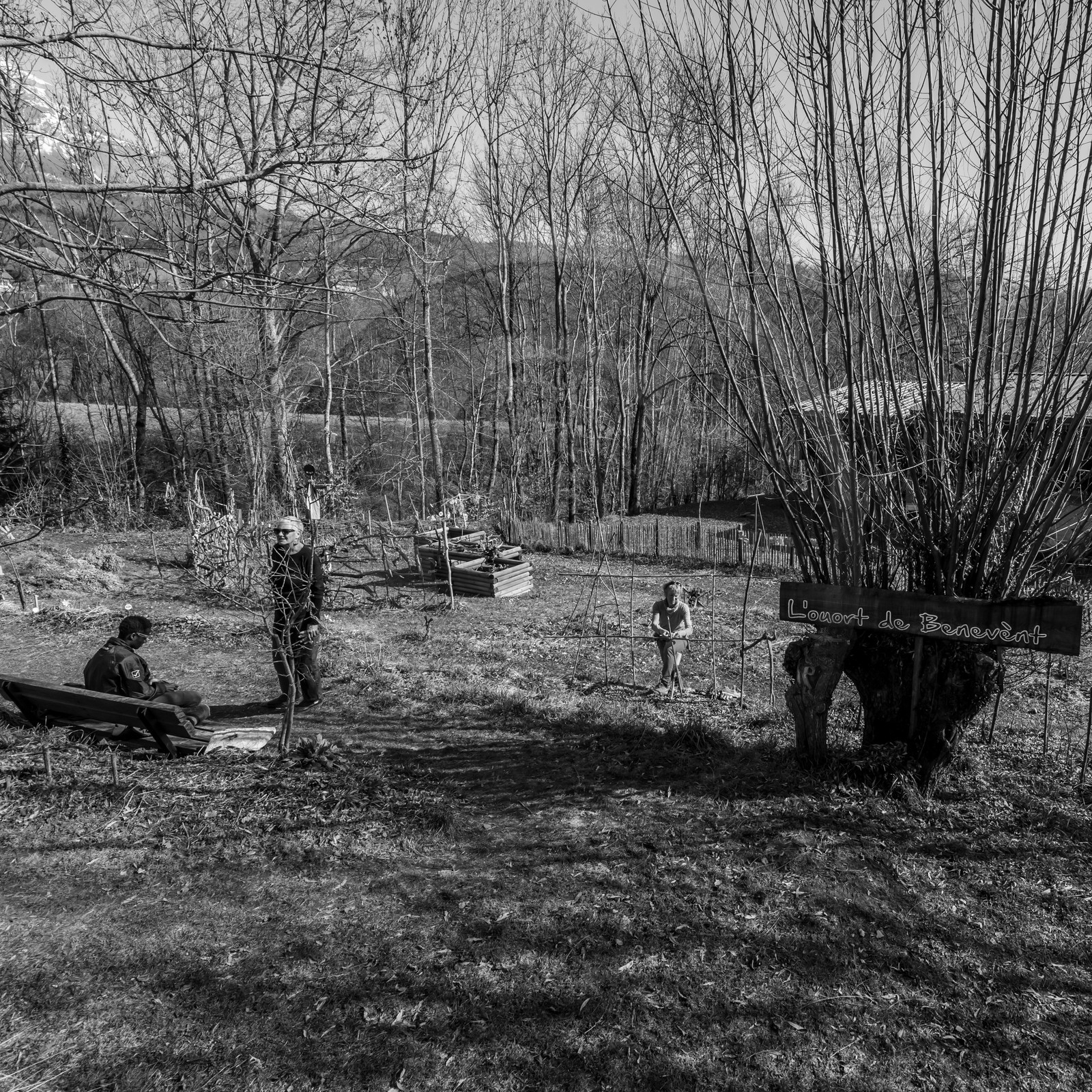 24 février 2021 : on taille, on prépare le jardin... 24 février 2021 : on taille, on prépare le jardin...