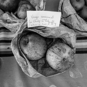 Ramène ta pomme