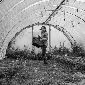 Maraichage biologique dans le Champsaur