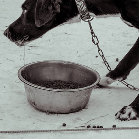 La Valgaude Traineau 2015