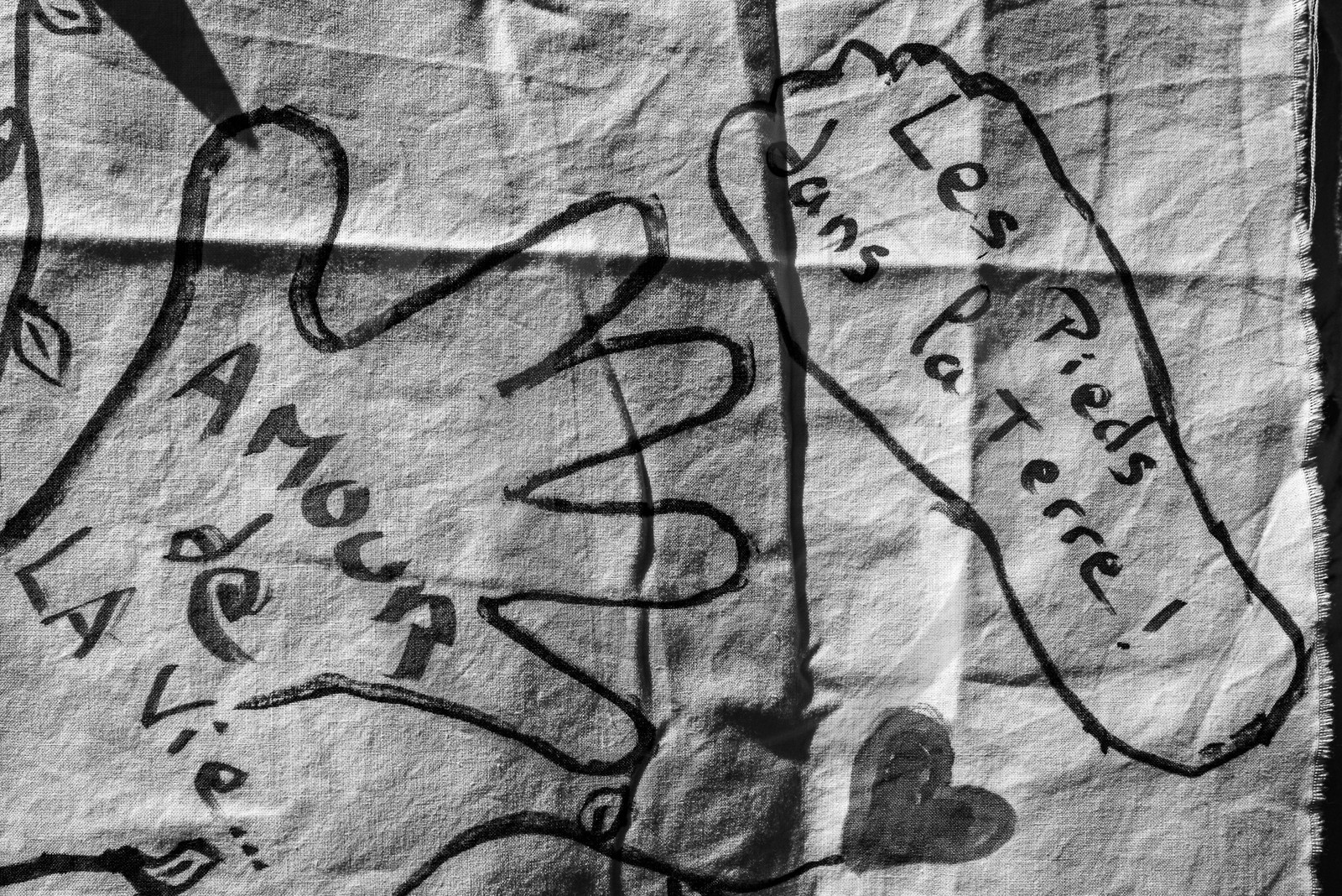 06 septembre 2023 : laine, couture et semis 06 septembre 2023 : laine, couture et semis