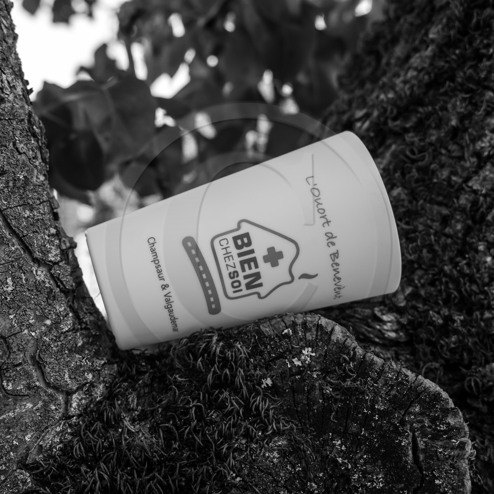 Avec l'école de Saint-Bonnet