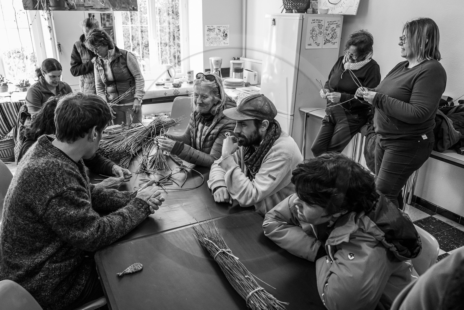 10 avril 2024 : Osier, laine et taille 10 avril 2024 : Osier, laine et taille