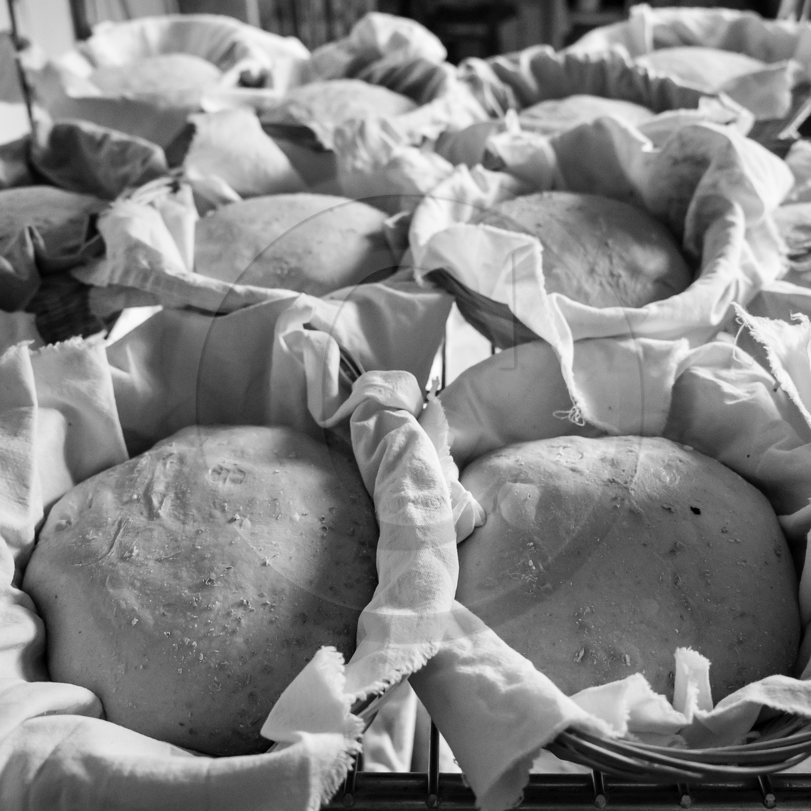 Julien Escallier, paysan boulanger