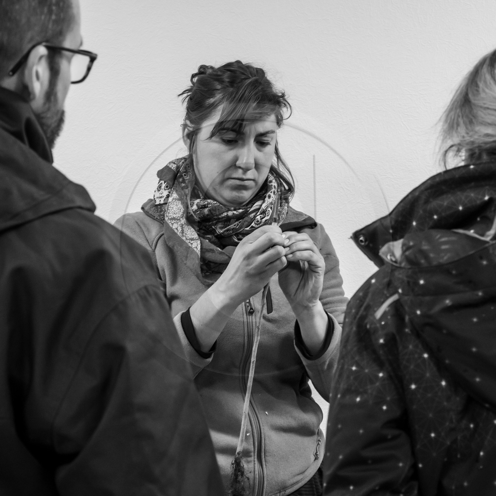 03 avril 2019 : Initiation à la greffe d'arbres fruitiers