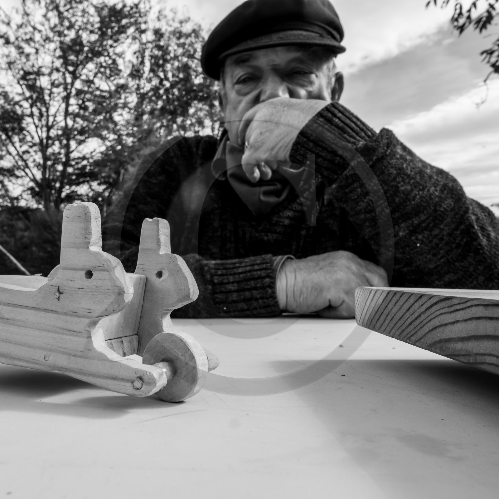 Semis, tournesols et jeux Semis, tournesols et jeux