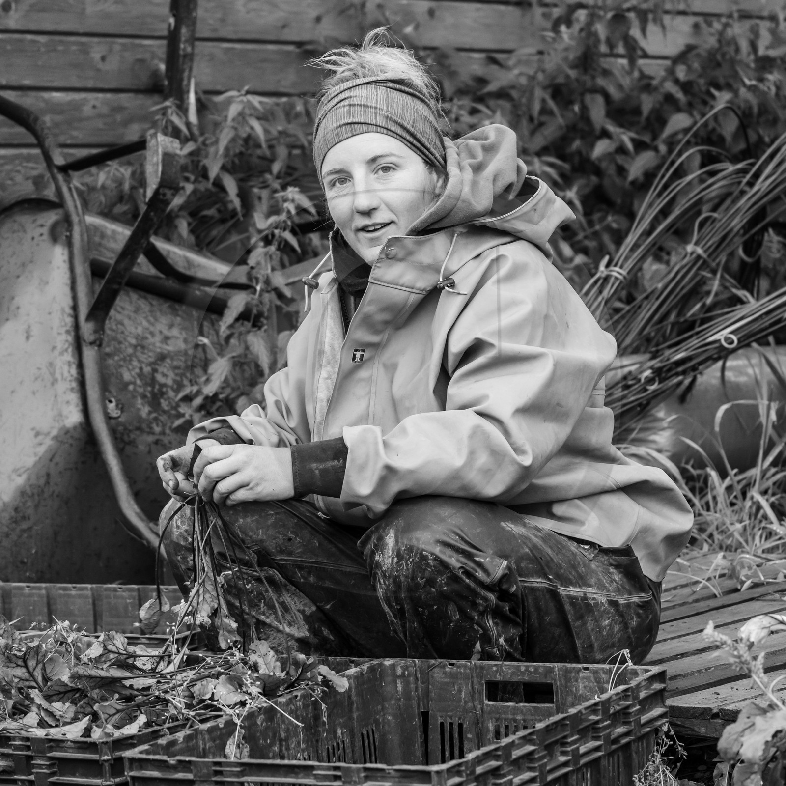 Maraichage biologique dans le Champsaur
