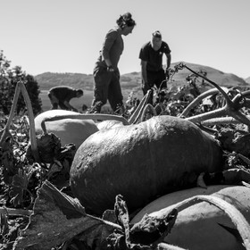 dlebioda-03102016-L1174382.jpg