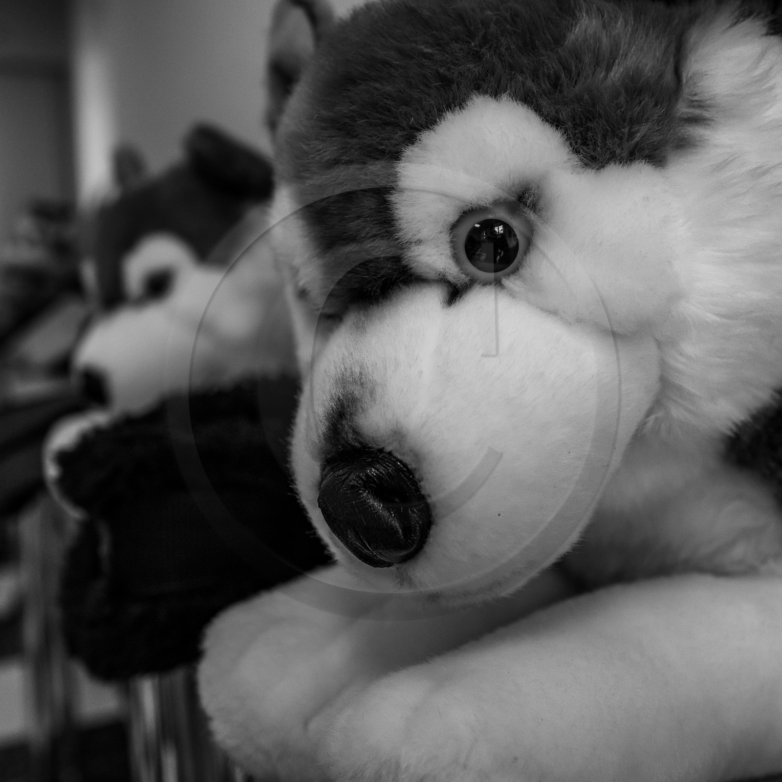 12 avril 2023 : Une épopée inconnue