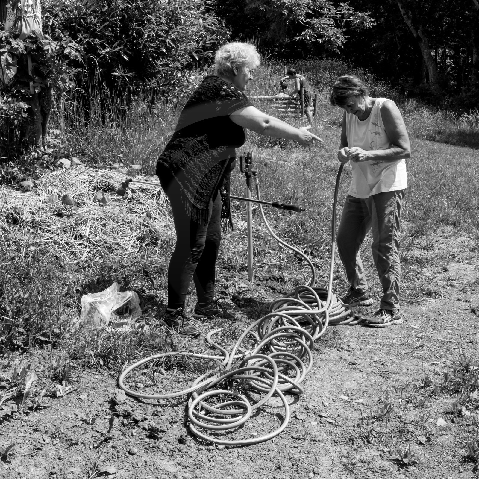 14 juin 2017 - Pose de la clôture