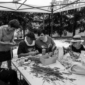 Atelier Fuseaux de lavande