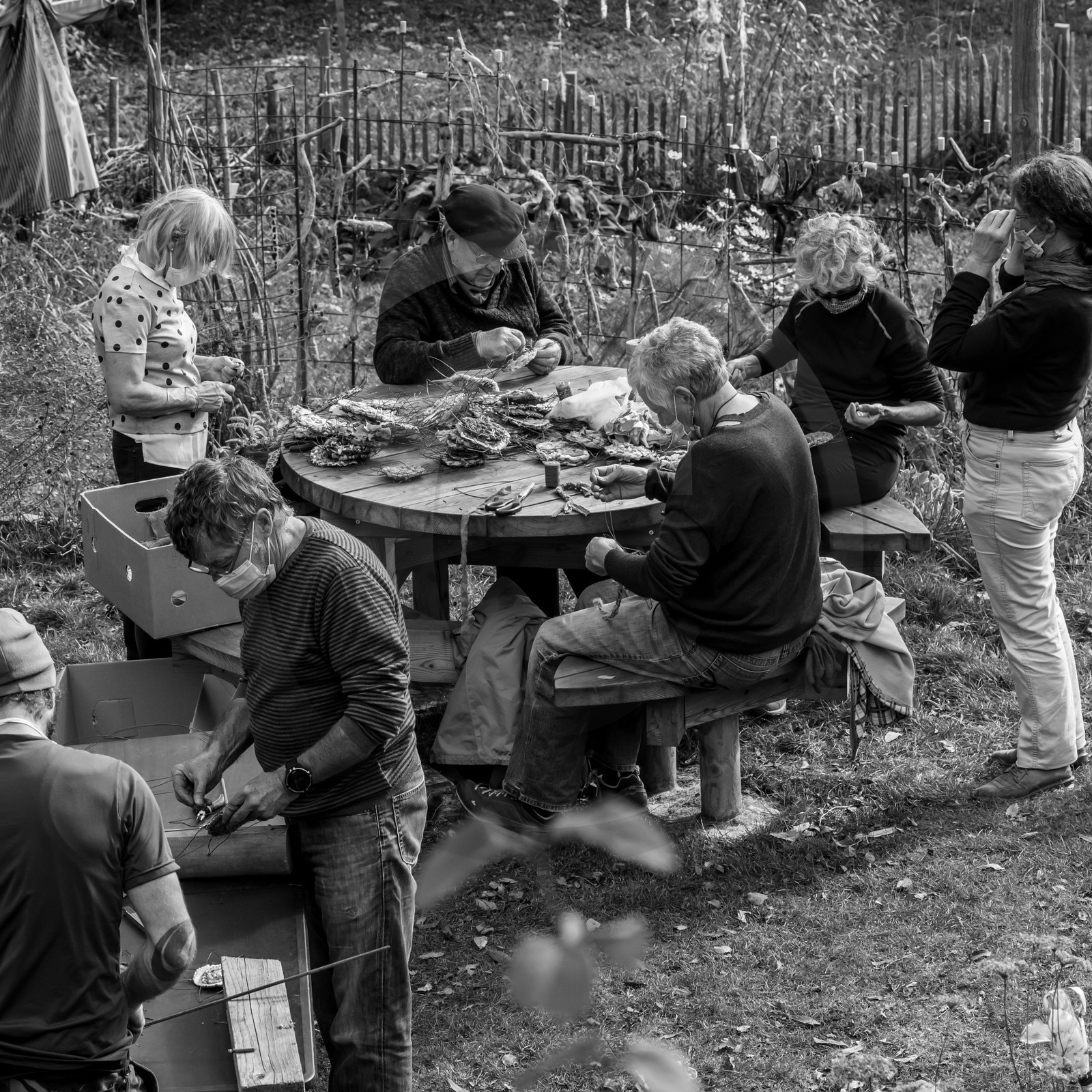 Semis, tournesols et jeux Semis, tournesols et jeux