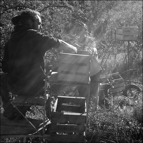 La récolte des pommes