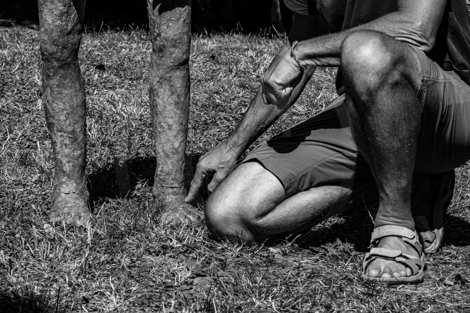 21 aout 2024 : Réalisation de Marcel Joli Coeur, l'homme de l'Ouort avec Barbara Fougnon, artiste plasticienne, et un anniversaire en chansons. 21 aout 2024 : Réalisation de Marcel Joli Coeur, l'homme de l'Ouort avec Barbara Fougnon, artiste plasticienne, et un anniversaire en chansons.