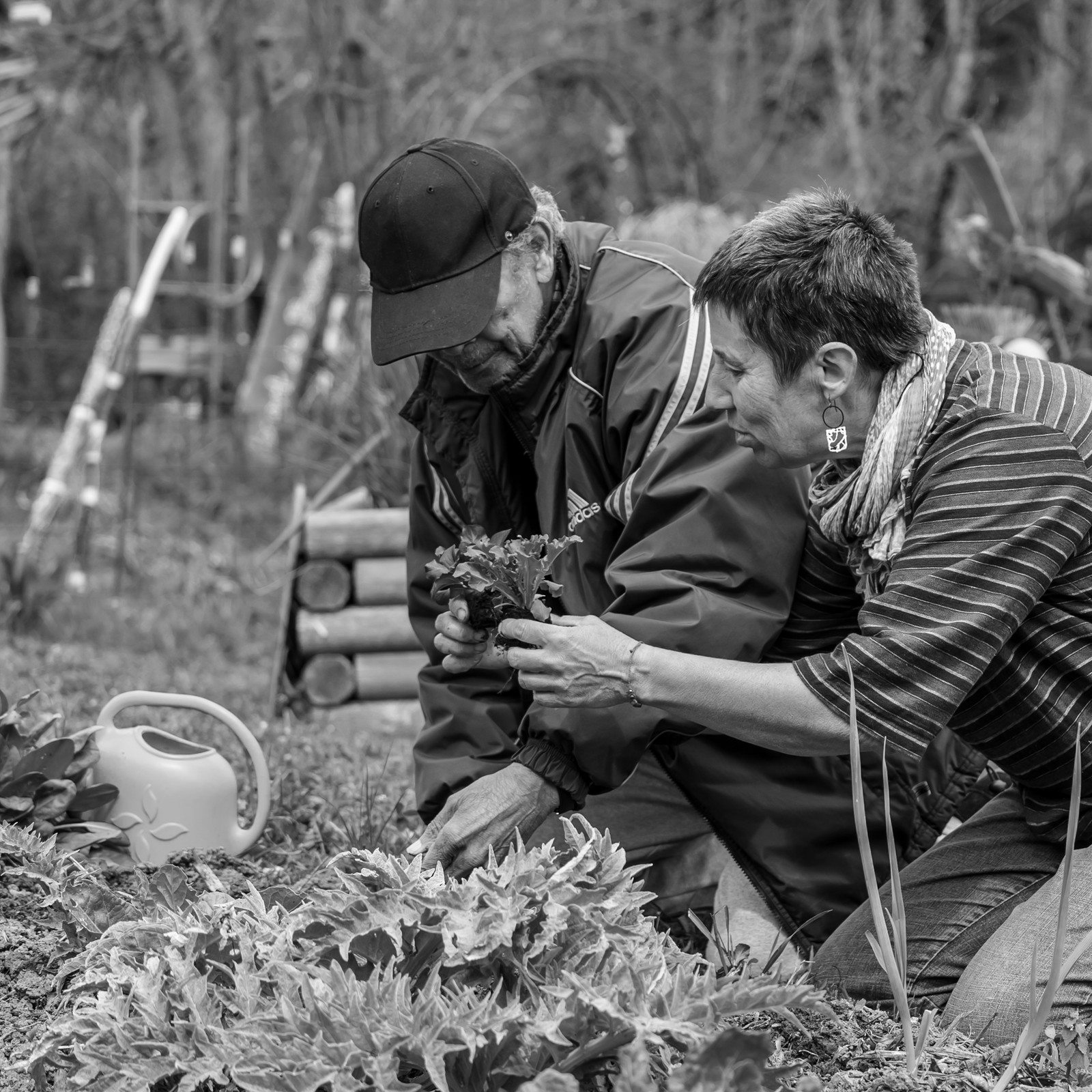 23 avril 2025 : Des oiseaux et des plantes