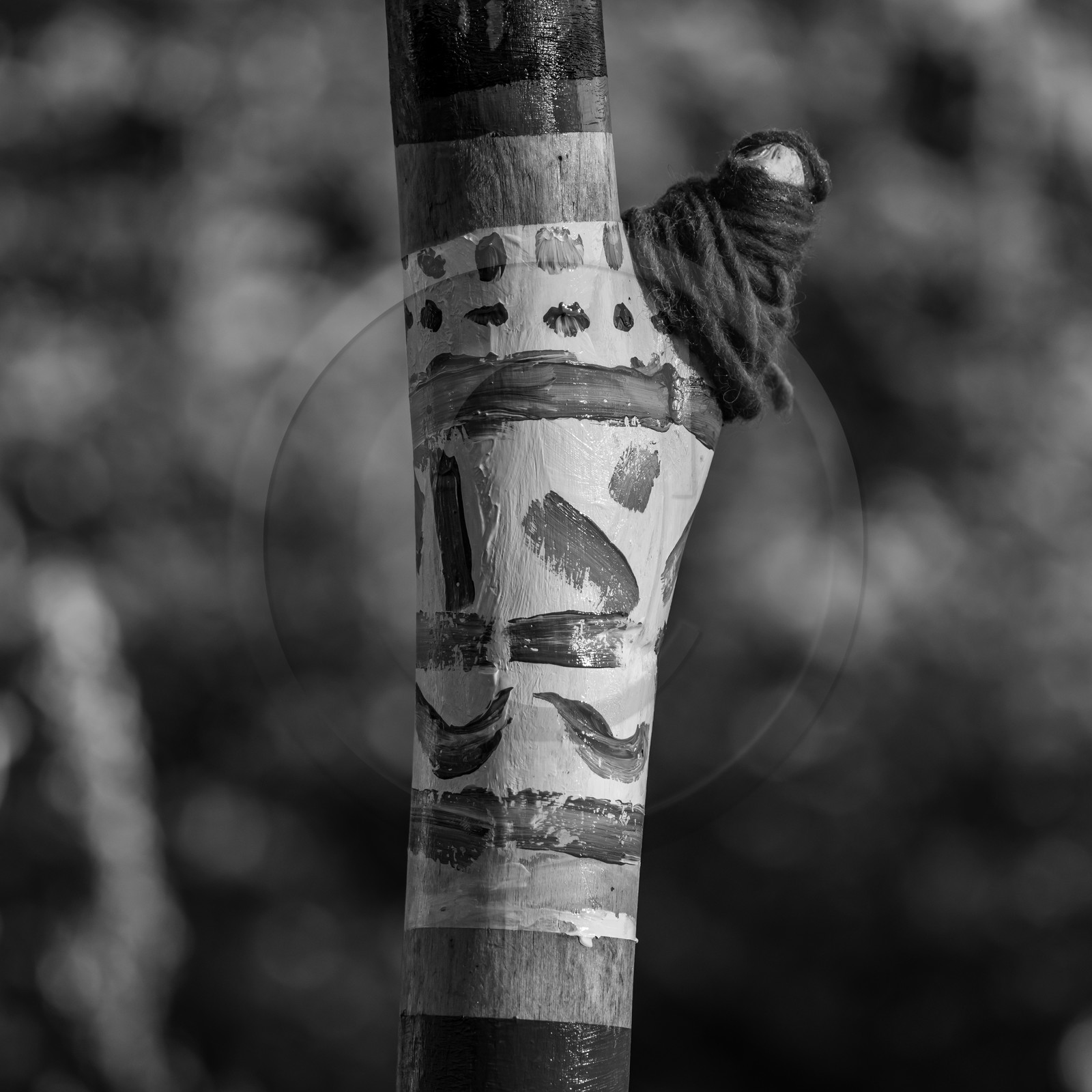 27 octobre 2021 : Un sentier et une réunion