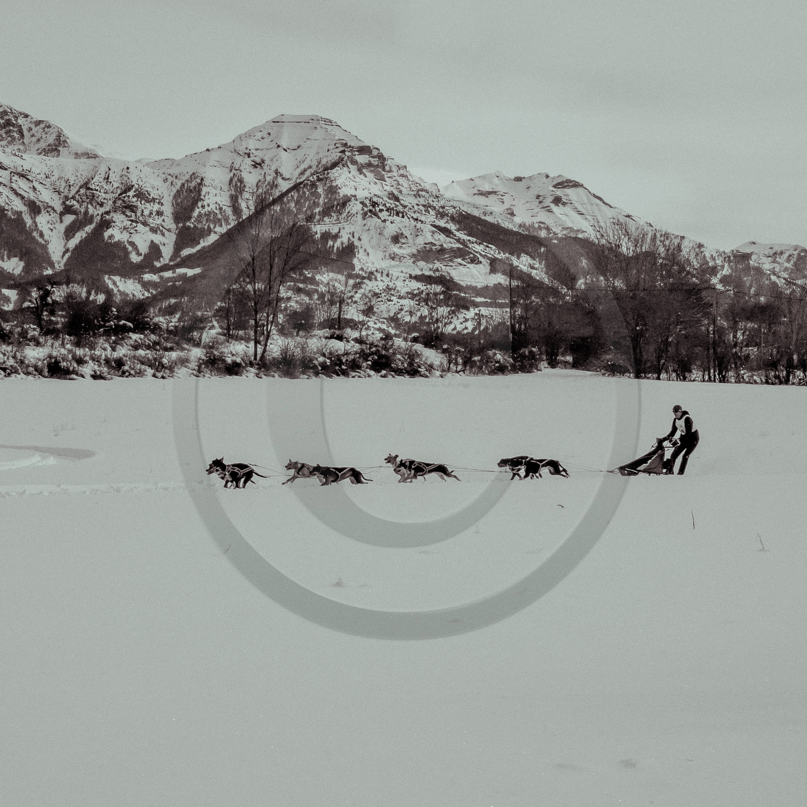 La Valgaude Traineau 2015 La Valgaude Traineau 2015