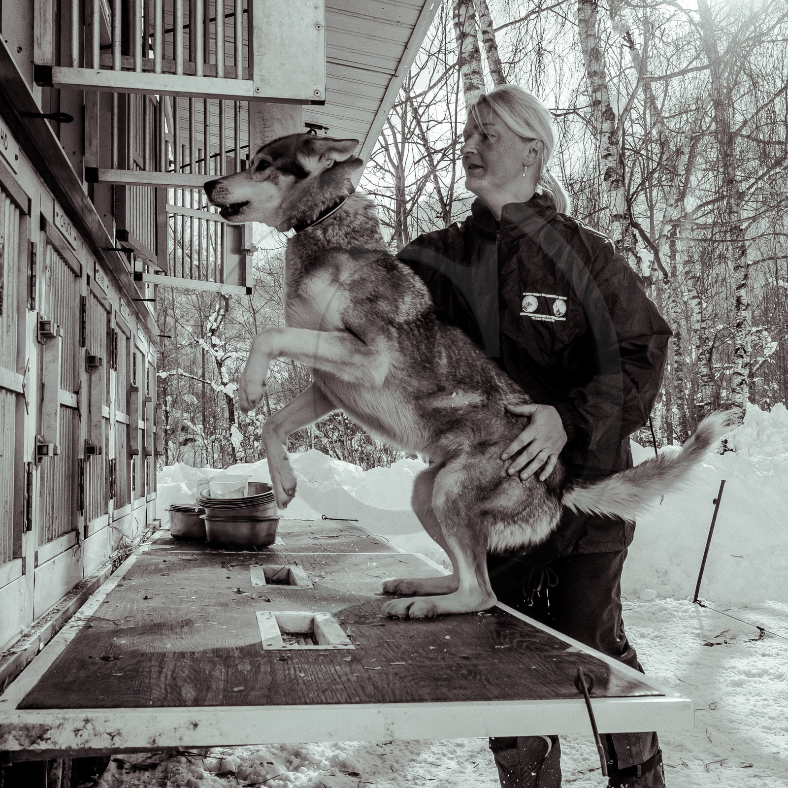 La Valgaude Traineau 2015