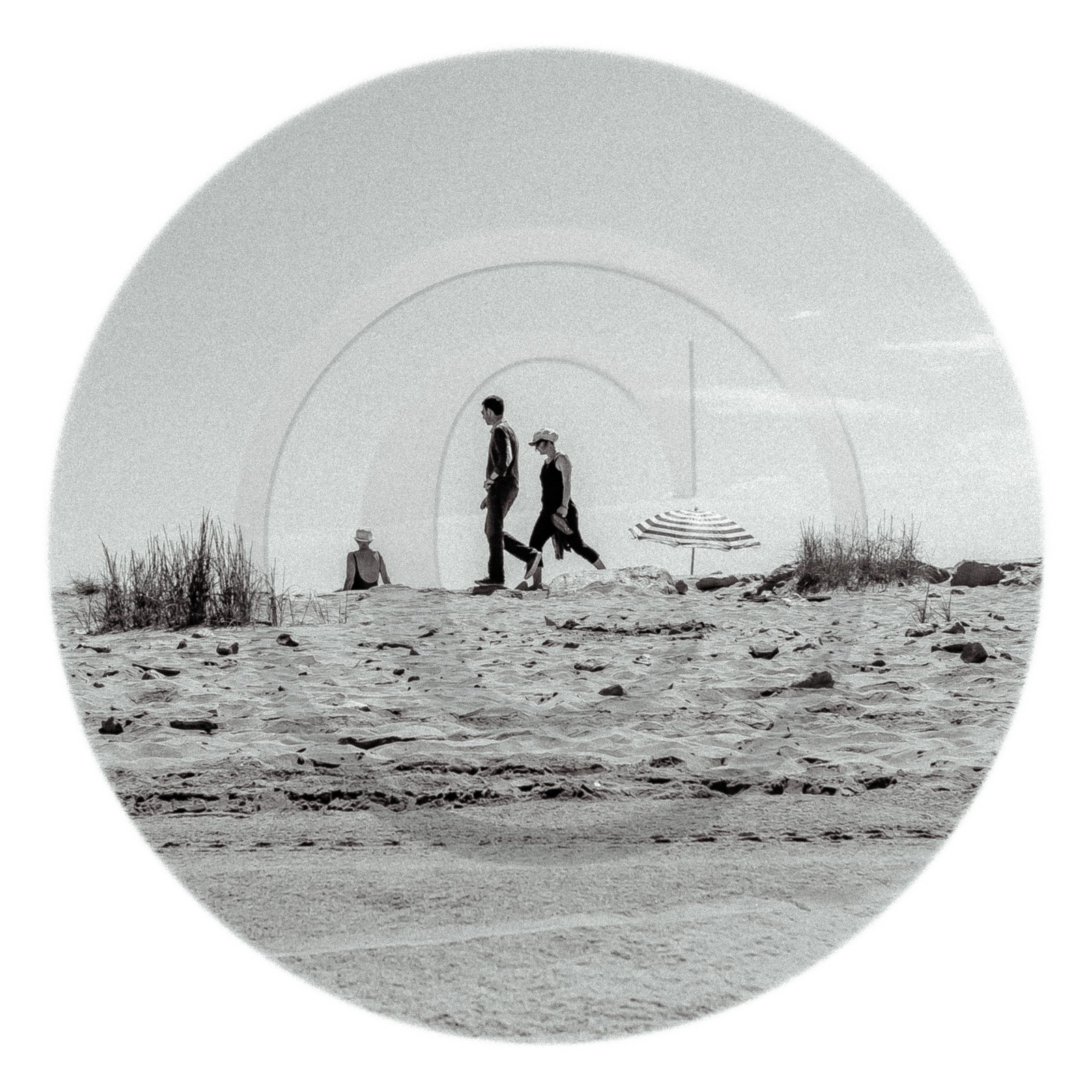 Les instants Camargue