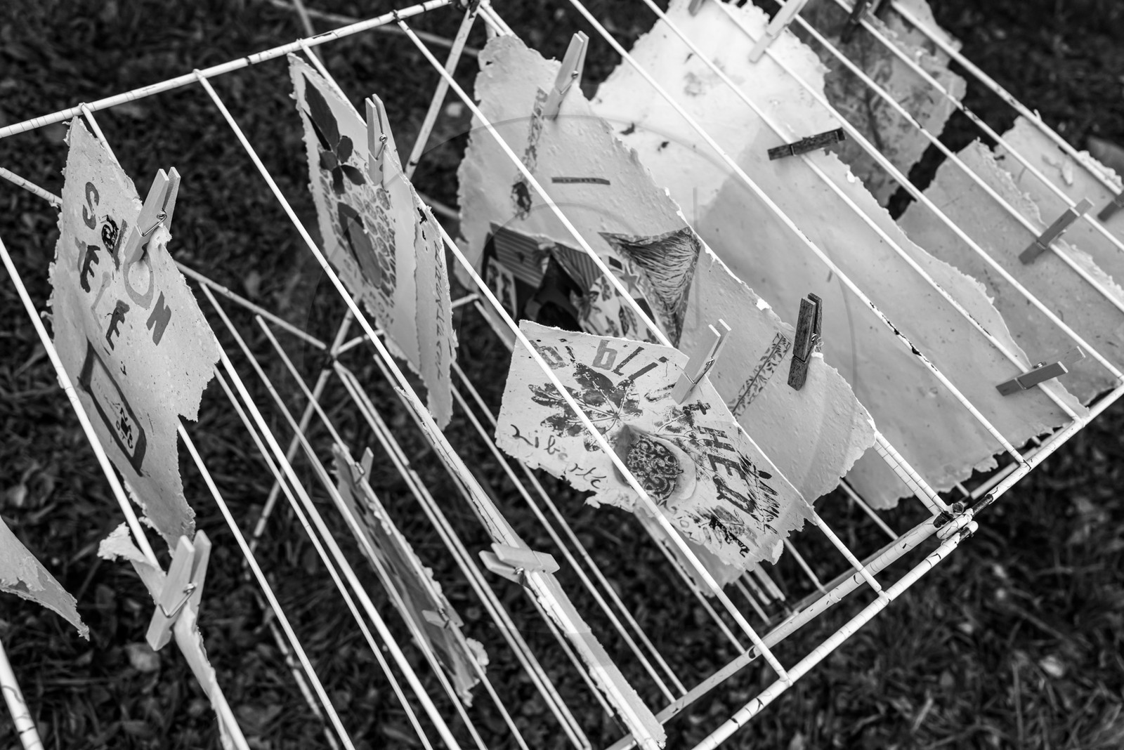 Présentation des réalisation de la saison à l'occasion de la semaine nationale des aidants - Avec la participation de Territoires Aidants